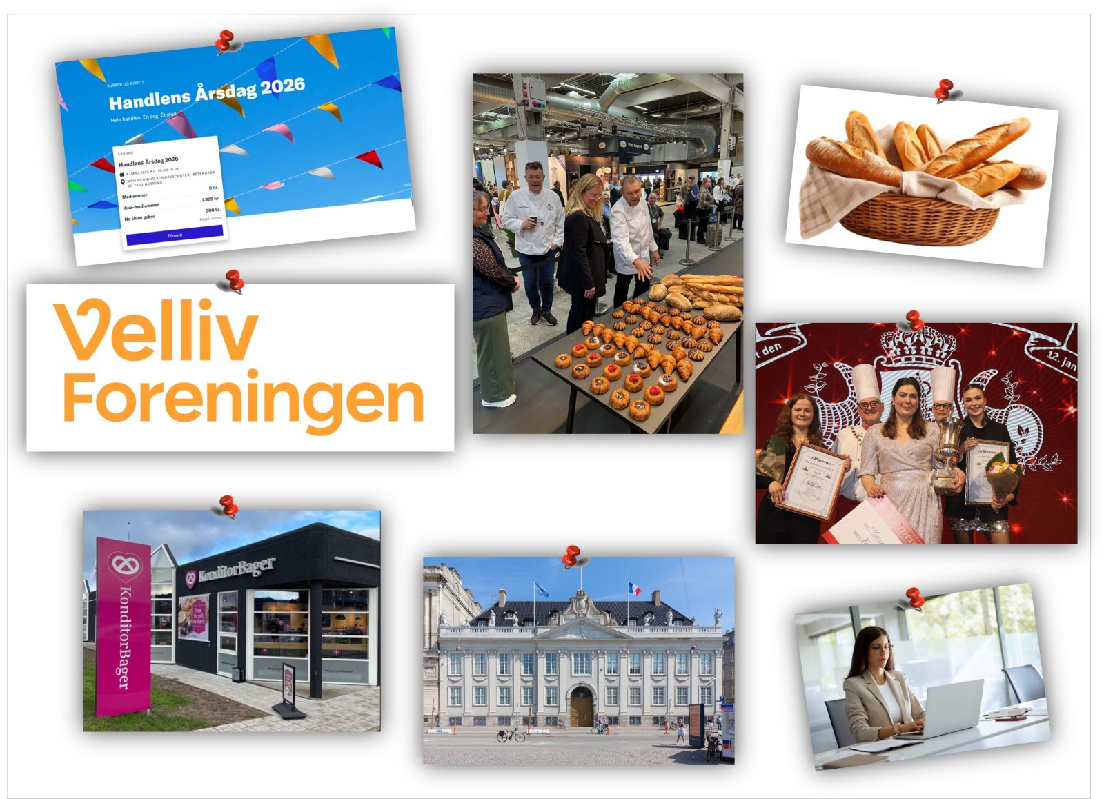 Medlems-nyhedsbrev Nr. 24 – 2026